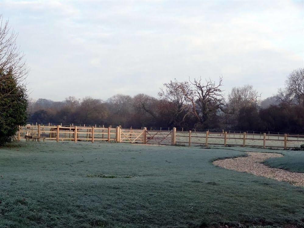Huxham Farmhouse Bed and Breakfast East Pennard Buitenkant foto